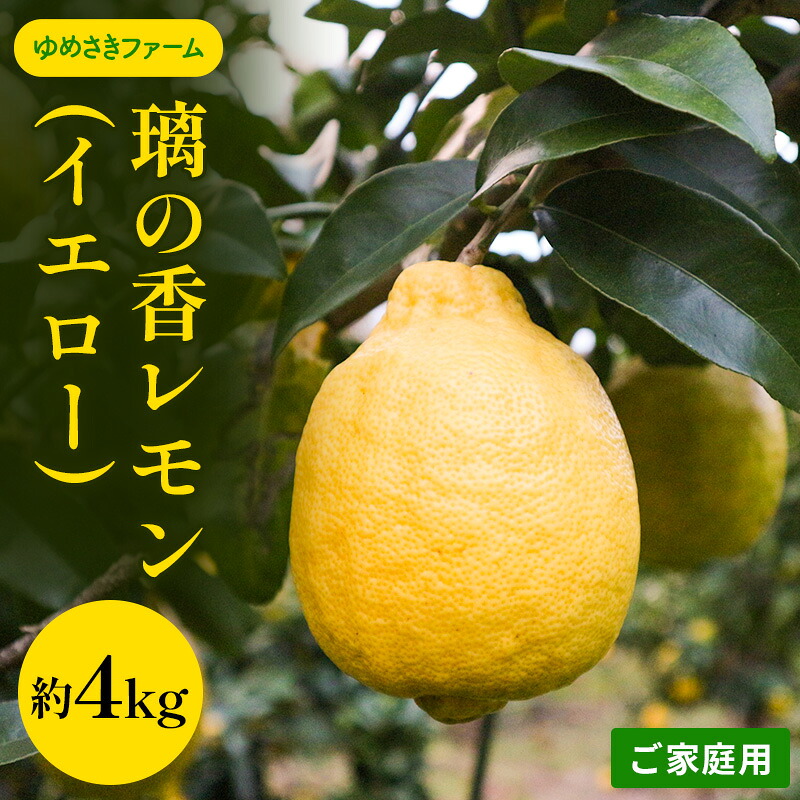 【ふるさと納税】れもん 先行予約 璃の香 レモン イエロー ご家庭用 約4kg 檸檬 柑橘 国産 果汁 果物 フルーツ ゆめさきファーム 　お届け：2026年12月中旬～2027年1月下旬｜岡山県玉野市
