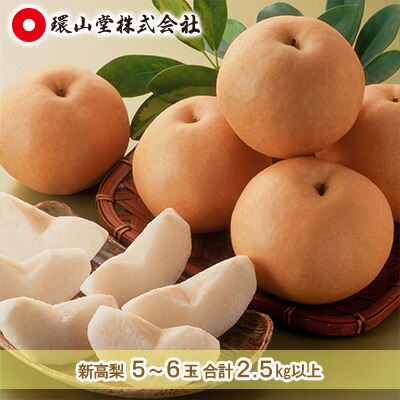 【ふるさと納税】梨 2025年 先行予約 新高 梨 5～6玉 合計2.5kg以上 なし ナシ 岡山県産 国産 フルーツ 果物 ギフト 環山堂 　お届け：2025年10月上旬～2025年10月下旬
