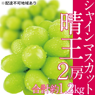 【ふるさと納税】ぶどう 2025年 先行予約 シャイン マスカット 晴王 2房（合計約1.2kg） ブドウ 葡萄 岡山県産 国産 フルーツ 果物 ギフト 　お届け：2026年9月上旬～2026年10月下旬
