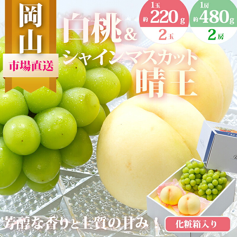 【ふるさと納税】桃 ぶどう 2026年 先行予約 果物 詰合せ 白桃 2玉(1玉220g以上)シャインマスカット 晴王 2房(1房480g以上)化粧箱入り もも 葡萄 岡山県産 国産 フルーツ 果物 ギフト お届け:2026年7月下旬~2026年8月中旬|岡山県玉野市