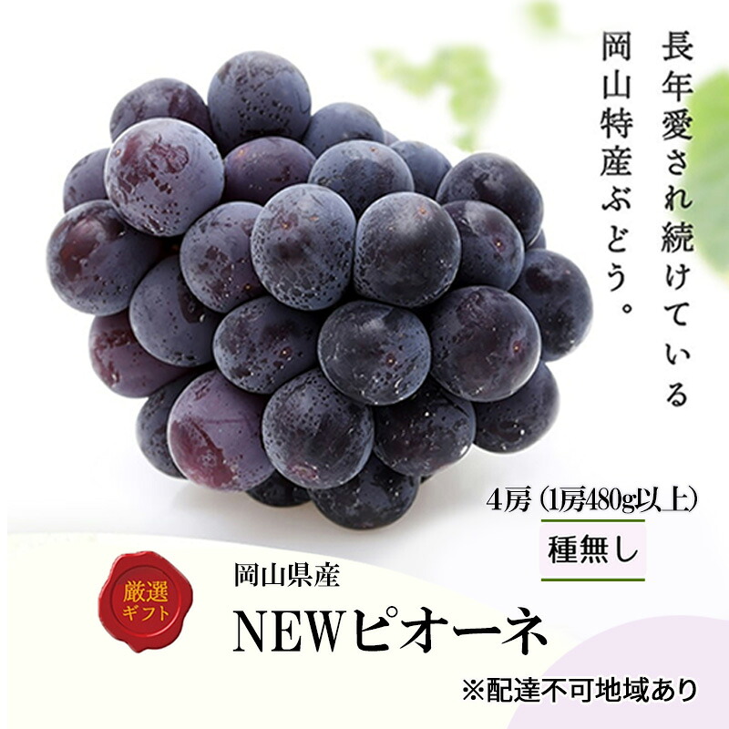 【ふるさと納税】ぶどう 2026年 先行予約 ニューピオーネ4房(1房480g以上) ブドウ 葡萄 岡山県産 国産 フルーツ 果物 ギフト 　お届け：2026年8月下旬～2026年10月上旬｜岡山県玉野市