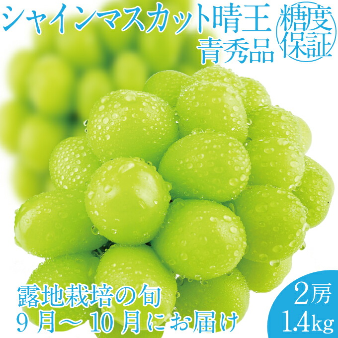 【ふるさと納税】2026年 先行予約受付中 シャインマスカット晴王2房 約1.4kg 岡山県産 種無し 皮ごと食べる みずみずしい 甘い フレッシュ 瀬戸内 晴れの国 おかやま 果物大国 ハレノフルーツ　お届け：2026年9月1日～2026年10月31日