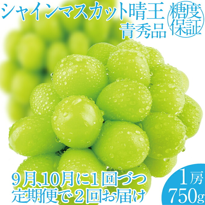 【ふるさと納税】2026年 先行予約受付中【2回定期便】シャインマスカット晴王1房 約750g&times;2回 岡山県産 種無し 皮ごと食べる みずみずしい 甘い フレッシュ 瀬戸内 晴れの国 おかやま 果物大国 ハレノフルーツ　お届け：2026年9月1日～2026年10月31日｜岡山県玉野市