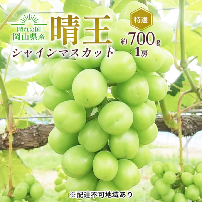 【ふるさと納税】ぶどう 2026年 先行予約 シャイン マスカット 晴王 特選 1房 約700g 大粒 種無し ブドウ 葡萄 岡山県産 国産 フルーツ 果物 ギフト 橋田商店　お届け：2026年9月中旬～2026年11月上旬