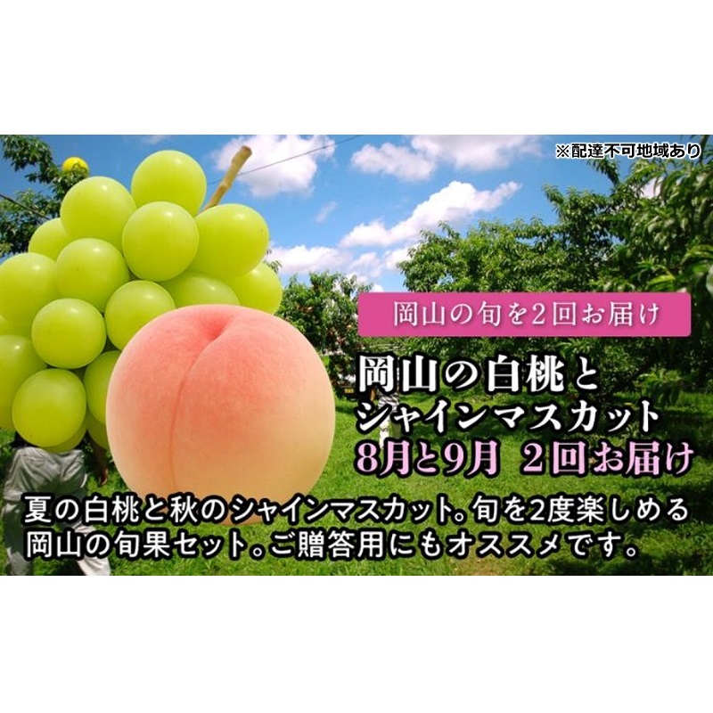 【ふるさと納税】【2026年度発送】岡山の白桃とシャインマスカット 2回 お届け 定期便 (8月・9月)もも モモ シャインマスカット ブドウ 葡萄 岡山県産 国産 フルーツ 果物 お届け:2026年8月下旬~2026年9月下旬