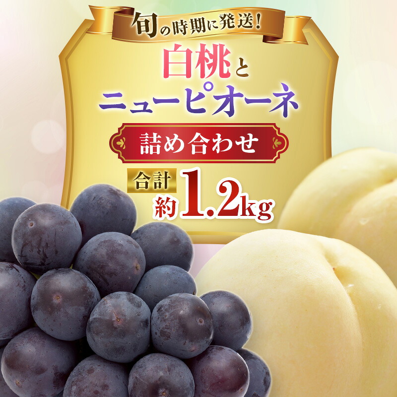 【ふるさと納税】【2026年先行受付】 白桃 ニューピオーネ 約1.2kg セット 桃 2玉 ぶどう 1房 岡山県産 御中元 ギフト 御礼 プレゼント 御礼 御祝 御供 果物 くだもの フルーツ もも モモ 葡萄 ブドウ　お届け：2026年7月上旬～2026年8月上旬