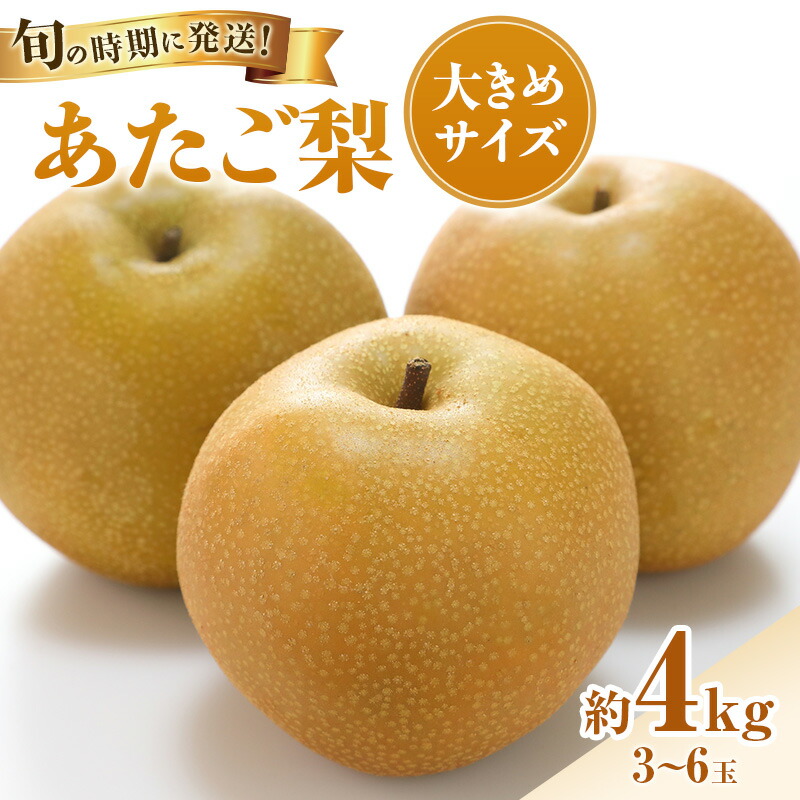 【ふるさと納税】【2026年先行受付】 梨 あたご梨 秀品 約4kg(3～6玉) 岡山名産 日本一大きな梨 なし ナシ お歳暮 ギフト 御礼 プレゼント 御礼 御祝 御供 果物 くだもの フルーツ　お届け：2026年11月下旬～2026年12月下旬