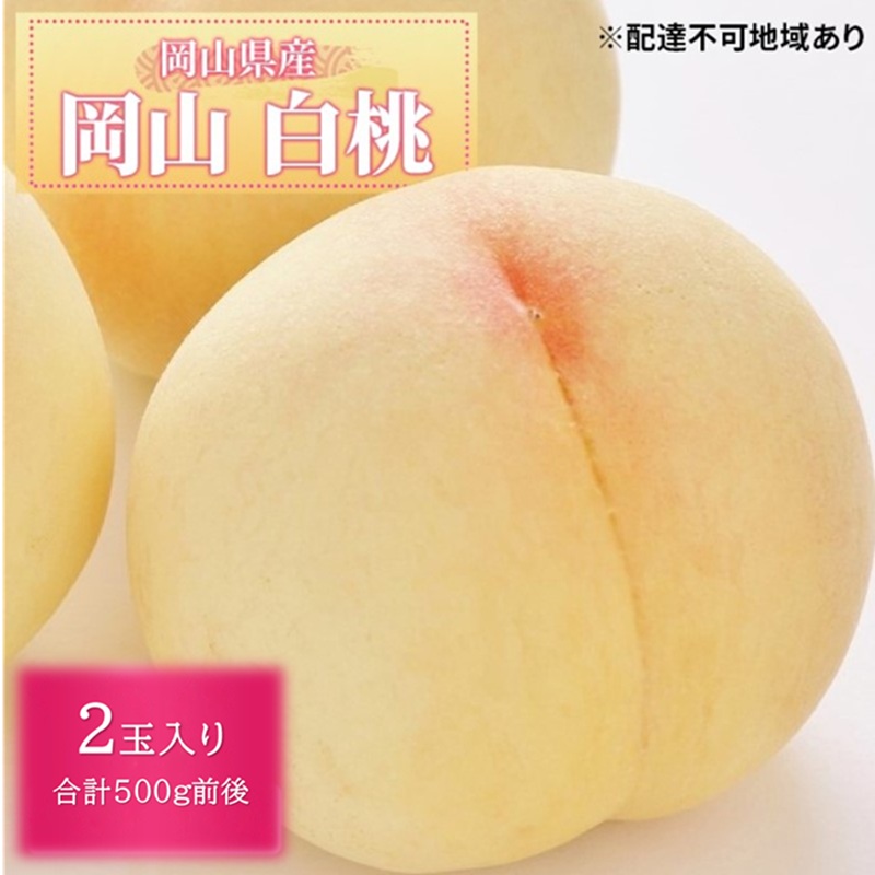 【ふるさと納税】桃 2026年 先行予約 白桃 2玉入り 合計500g前後 岡山県産もも モモ 岡山県産 国産 フルーツ 果物 ギフト お届け:2026年7月上旬~2026年8月下旬|岡山県玉野市