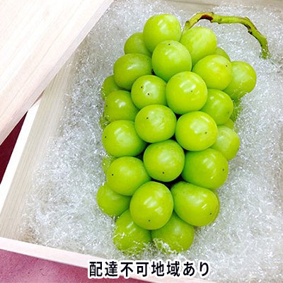 【ふるさと納税】ぶどう 2026年 先行予約 シャイン マスカット 桐箱 1房入り 800g以上 ブドウ 葡萄 岡山県産 国産 フルーツ 果物 ギフト 内藤ぶどう園 果物類 シャインマスカット　お届け：2026年10月上旬～2026年11月下旬｜岡山県玉野市