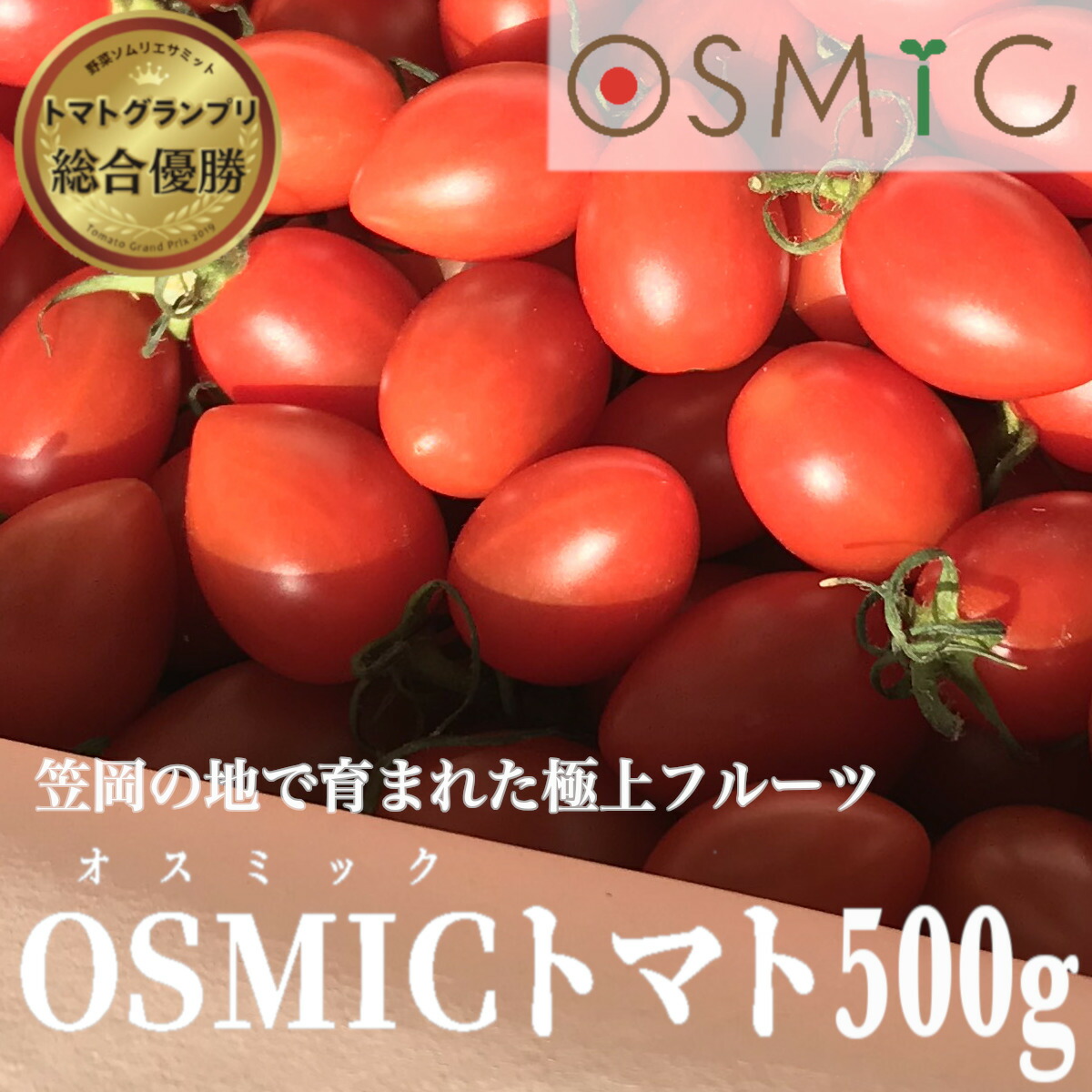 3000円 超特価SALE開催！ ふるさと納税 南アルプス市 おいしい〜甘〜いフルーツトマト トマ糖‐太陽のめぐみ 1kg フルティカ500g  ティポ500g