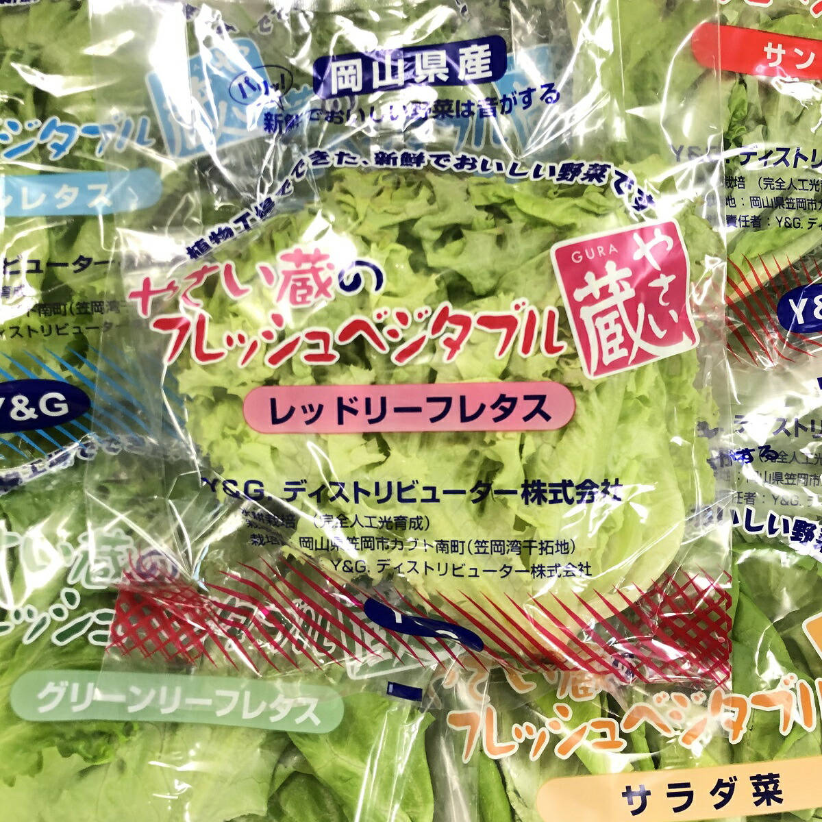 レタスだけ？】植物工場(野菜工場)で作れる野菜・品目・品種一覧！通販で買うのにおすすめショップ | 植物工場の教科書