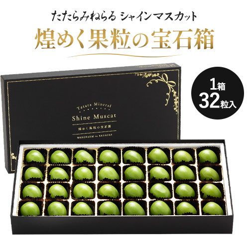 【ふるさと納税】シャインマスカット 岡山 ギフト たたらみねらる 煌めく果粒の宝石箱（2025年産先行受付）糖度18度以上 甘い 種無し 獲れたて ぶどう ブドウ 葡萄 マスカット《2025年8月下旬-10月下旬頃出荷》