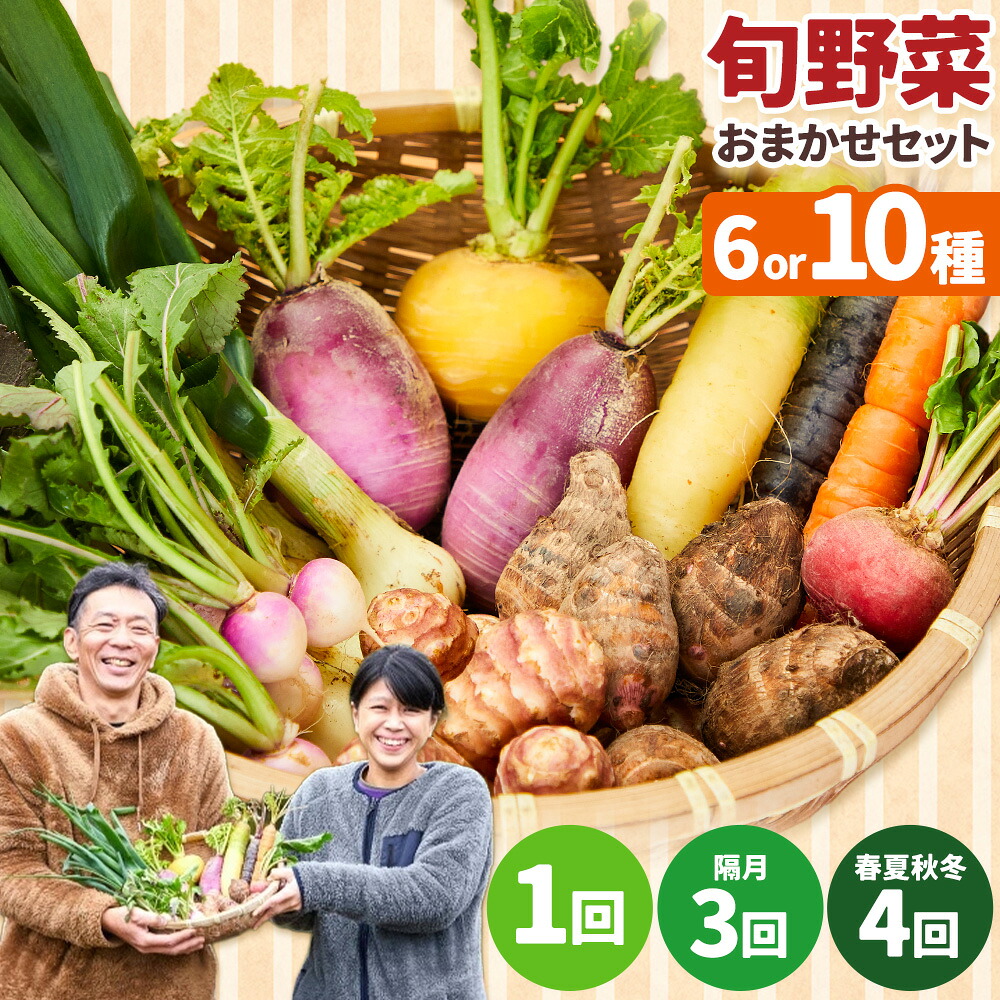 【ふるさと納税】季節の旬野菜 おまかせセット 選べる容量 6種 10種 選べる回数 1回 3回 4回 （農薬・化学肥料不使用）オルタッリャ A-229《出荷時期をお選びください》