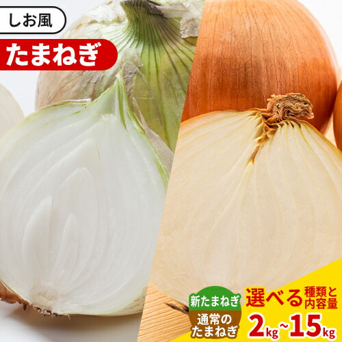 【ふるさと納税】 五千円以下 玉ねぎ しお風たまねぎ 選べる内容量 新たまねぎ 新玉 新たま 大きさ不揃い【先行予約分】《2025年5月中旬-6月末頃出荷》約 2kg or 約 5kg or 約 10kg or 約 15kg 野菜 岡山県画像