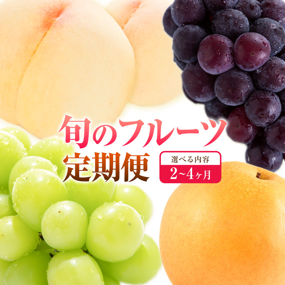 【ふるさと納税】【定期便】旬のフルーツ定期便 岡山のﾌﾙｰﾂ 定期便 選べる 回数 コース 内容 2回 3回 4回 岡山県産 桃 シャインマスカット ニューピオーネ 梨 《7月上旬-12月末頃出荷》岡山県 笠岡市 フルーツ 旬 果物 ぶどう 梨 マスカット お取り寄せ