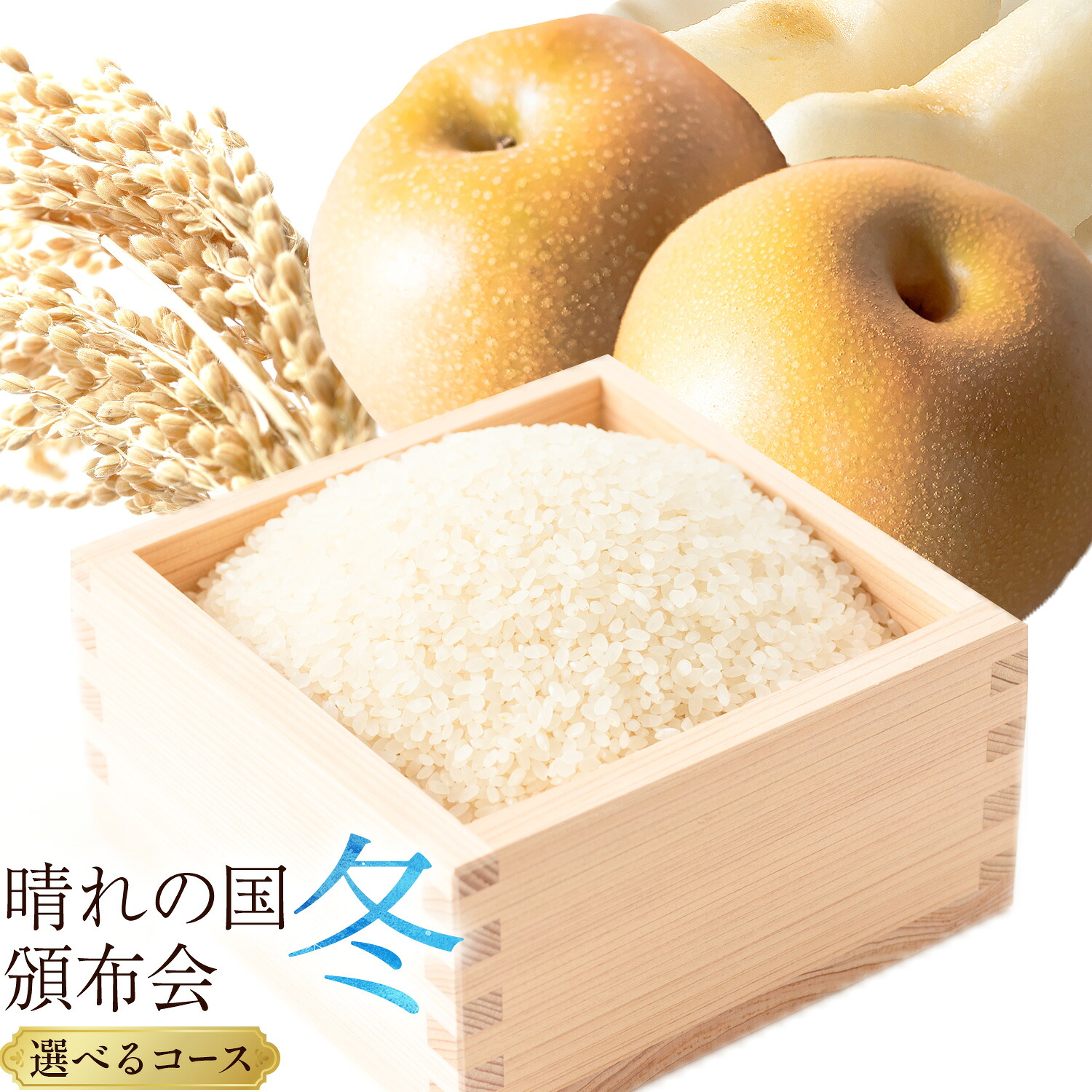 【ふるさと納税】晴れの国頒布会 冬 選べる お届けコース 無洗米 5kg 10kg 20kg 梨 1.8kg 2.5kg 4kg 《ページ内記載の時期に発送》岡山県 笠岡市 フルーツ 旬 果物 ナシ コメ お取り寄せ|岡山県笠岡市