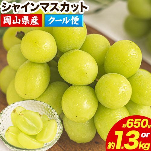 【ふるさと納税】 先行予約 シャインマスカット 岡山 約650g 1房 約1.3kg 2房 厳選 旬 ぶどう ブドウ 葡萄 晴王 マスカット 果物 フルーツ ギフト 岡山県 笠岡市 訳あり クール便 爽やか 贅沢《2025年9月上旬-11月中旬頃出荷》