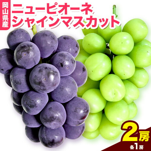 【ふるさと納税】岡山県産ニューピオーネ（１房580g以上）＆シャインマスカット「晴王」（1房580g以上）（令和7年産先行受付）《2025年9月上旬-10月中旬頃》【配送不可地域あり】