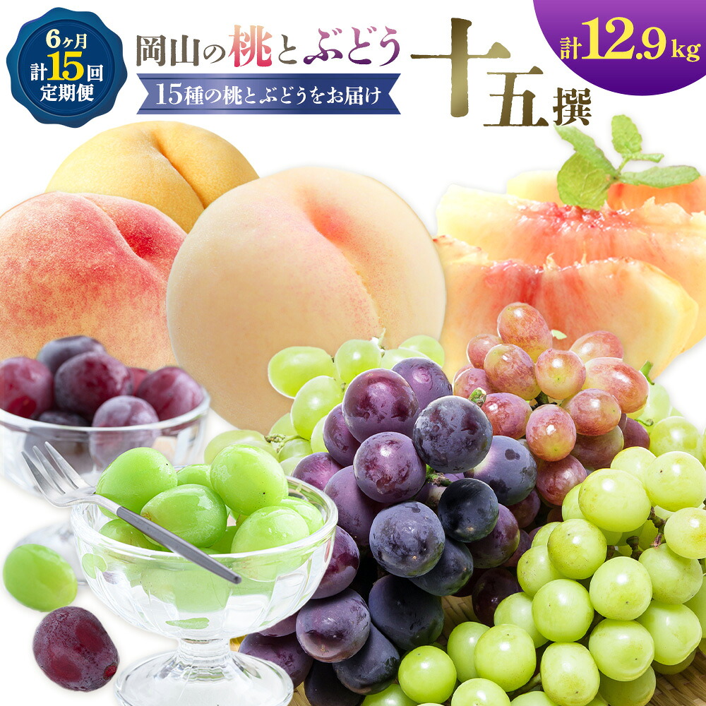 【ふるさと納税】【2027年発送先行予約】 桃 ぶどう 6ヶ月 計15回 定期便 岡山 の 桃 と ぶどう 十5撰 10種 計12.9kg 晴れの国おかやま館(漂流岡山)《2027年7月中旬-12月中旬頃出荷》岡山県 笠岡市 もも 桃 ぶどう マスカット 果物 フルーツ 【配送不可地域あり】（離島）｜岡山県笠岡市