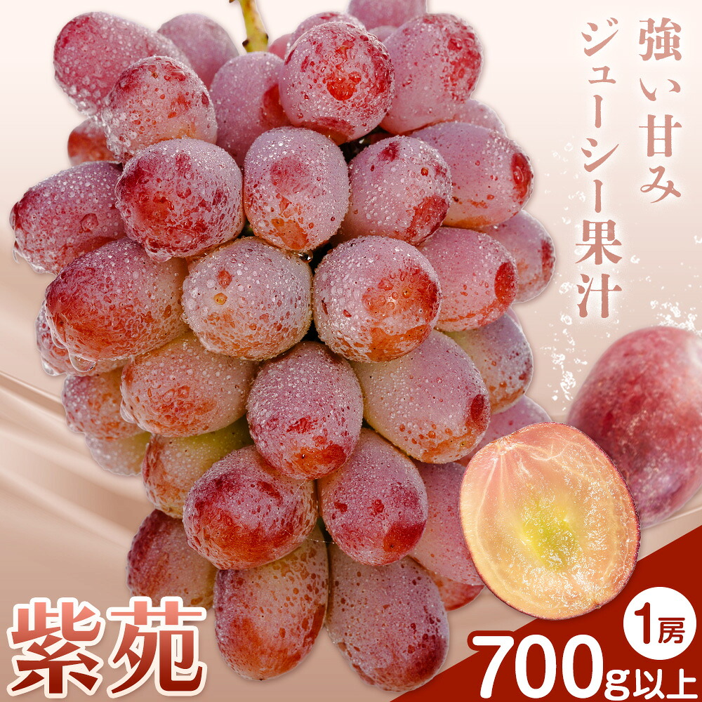 【ふるさと納税】ぶどう 紫苑 しえん フルーツ 700g以上 1房 化粧箱入り 株式会社山博《2026年10月下旬-11月下旬頃出荷》岡山県 笠岡市 送料無料 ブドウ 果物 旬 国産 岡山県産【配送不可地域あり】