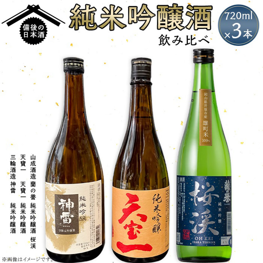 【ふるさと納税】【びんご圏域連携】備後の日本酒 純米吟醸酒 飲み比べセット 株式会社齋藤商店《30日以内に出荷予定(土日祝除く)》酒 日本酒 さけ お酒
