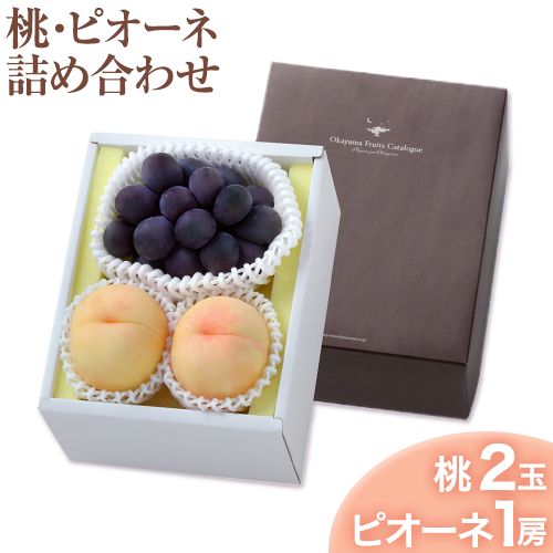 【ふるさと納税】 【2026年発送先行予約】桃・ピオーネ詰め合わせ 約1kg クール便 冷蔵便 桃 もも 葡萄 ブドウ ぶどう ピオーネ フルーツ セット 先行予約 晴れの国おかやま館 《2026年8月下旬-9月中旬頃出荷》 フルーツ 果物 果実 岡山県 笠岡市