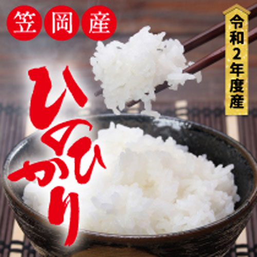 太陽の恵み ひのひかり 白米 90kg 令和2年産米 岡山県笠岡市 令和2年産米 光センサー式選別機で良質なお米のみを厳選 精米したてをお届けします 白米 ふるさと納税 米 雑穀 定期便