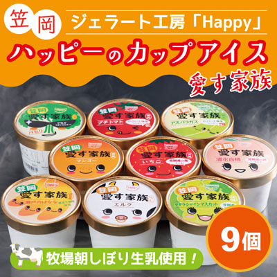 A-35 笠岡ジェラート工房ハッピーのカップアイス(愛す家族)9個セット