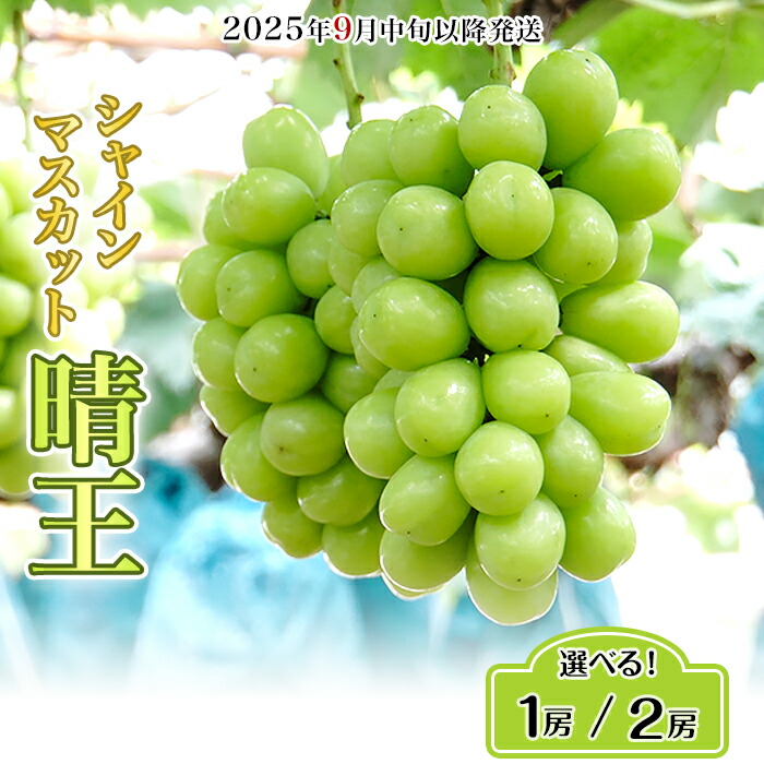 【ふるさと納税】果物 シャインマスカット 晴王 大粒 岡山県産 選べる 1房 650g以上 2房 1.2kg以上 ja岡山 皮ごと 種なし ぶどう 葡萄 フルーツ【2025年9月中旬～10月下旬発送予定】（いばら愛菜館）