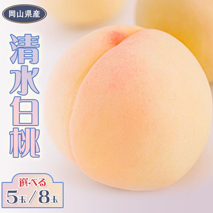 【ふるさと納税】清水白桃 岡山 桃 もも モモ 白桃 フルーツ 果物 お取り寄せ ギフト 贈答用 デザート スイーツ 旬 岡山の桃 桃の女王 岡山県産（晴れの国おかやま館）