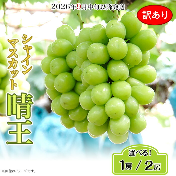 【ふるさと納税】訳あり 果物 シャインマスカット 晴王 大粒 岡山県産 選べる 1房 700g以上 2房 1.2kg以上 ja岡山 皮ごと 種なし 葡萄 フルーツ 国産 ブドウ くだもの 先行予約【2026年9月中旬～10月下旬発送予定】（いばら愛菜館）