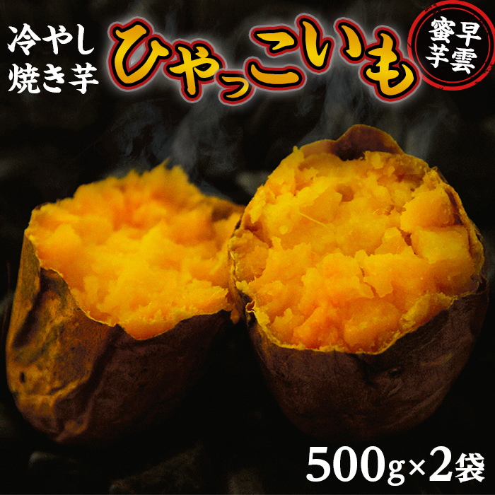 ふるさと納税 早雲蜜芋 冷やし焼き芋 ひゃっこいも 500g 2袋 Fmcholollan Org Mx