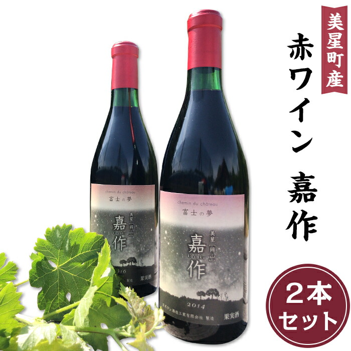 【ふるさと納税】E-17 美星町産ワイン　赤ワイン２本セット　嘉作
