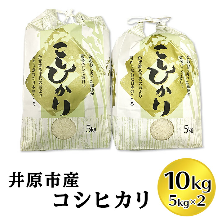 人気ブランド 楽天市場 ふるさと納税 米 10kg 白米 R 01 井原市産コシヒカリ 岡山県井原市 人気が高い Lexusoman Com