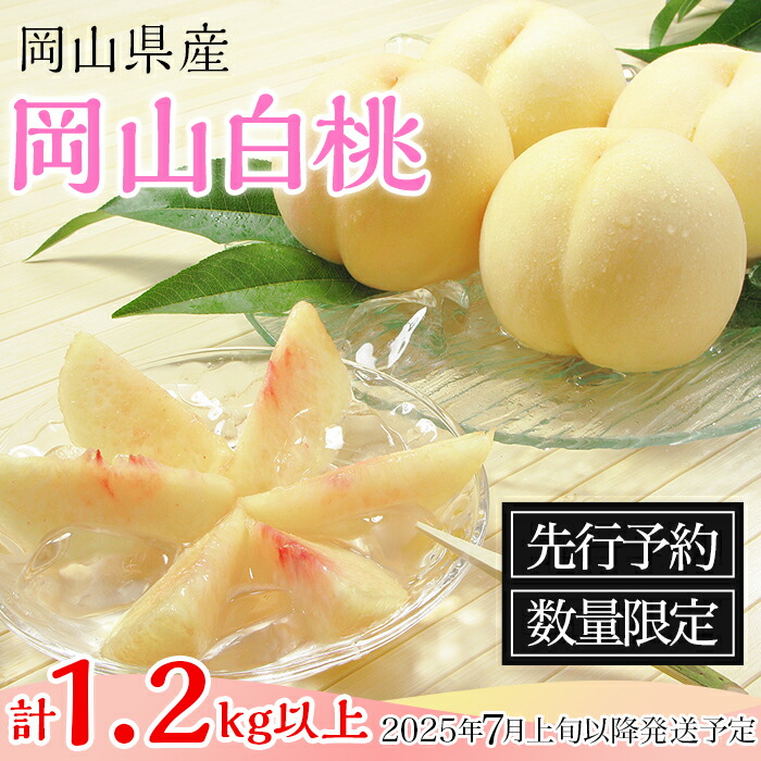 【ふるさと納税】74-03 白桃5～6玉（1.2kg以上）【2025年7月上旬～8月上旬頃発送予定】