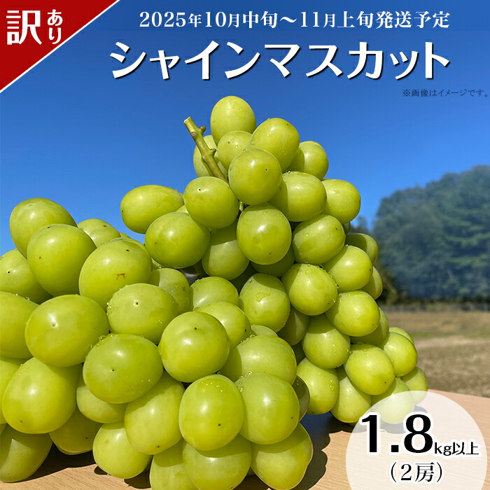 【ふるさと納税】訳あり 先行予約 種無し ぶどう 種なし 果物 フルーツ ブドウ 【訳あり】シャインマスカット 2房（1.8kg以上）【2025年10月中旬～11月上旬発送予定】（星のさと・ぶどう工房）