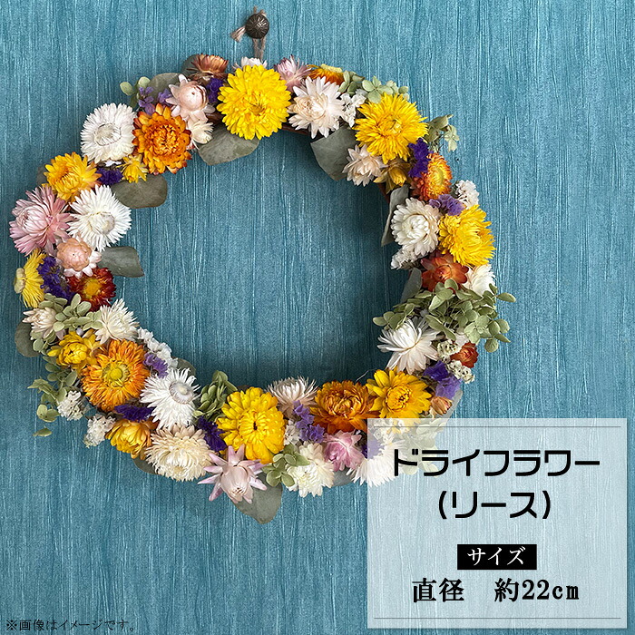 【ふるさと納税】ドライフラワー リース プレゼント 誕生日 お祝い インテリア フラワーリース おしゃれ ナチュラル お花 ギフト 壁飾り 女性 ドライフラワー（リース）｜岡山県井原市
