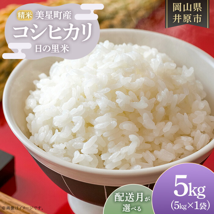 【ふるさと納税】先行予約 令和8年産 米 精米 お米 ライス ご飯 御飯 ごはん 5kg 5kg&times;1袋 2026年産 コシヒカリ こしひかり 産地直送 選べる 配送月 美星町産 コシヒカリ 日の里米 精米 5kg&times;1袋｜岡山県井原市