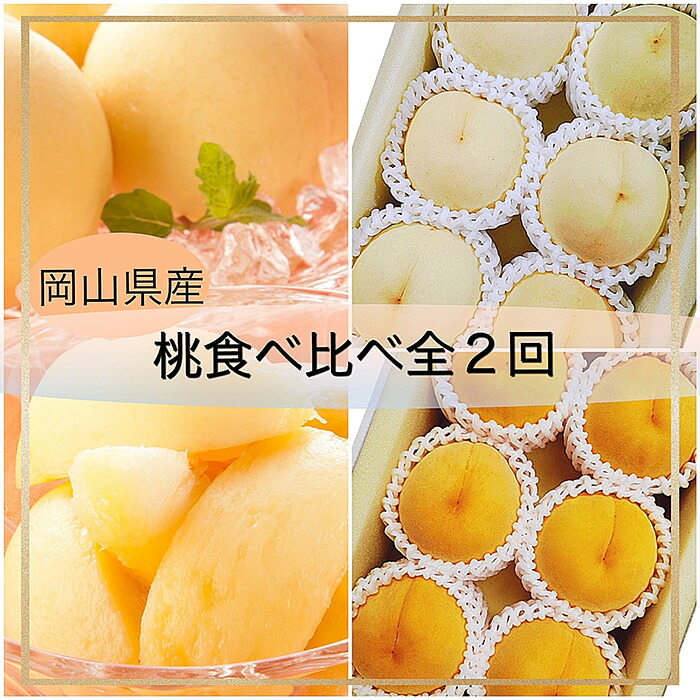 【ふるさと納税】岡山県産 果物 スイーツ フルーツ 桃 もも モモ 岡山の桃 白桃 黄金桃 食べ比べ 定期便 2回 スイーツ フルーツ 果物 デザート 旬 ギフト 贈答 お取り寄せ 化粧箱入り 岡山県産 桃食べ比べ全2回【2026年産】