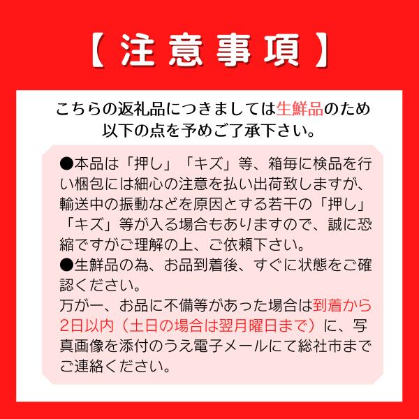 良質 ぶどう 岡山県 冬ぶどう 紫苑 1房 750g前後 10月配送 総社市産 fucoa.cl