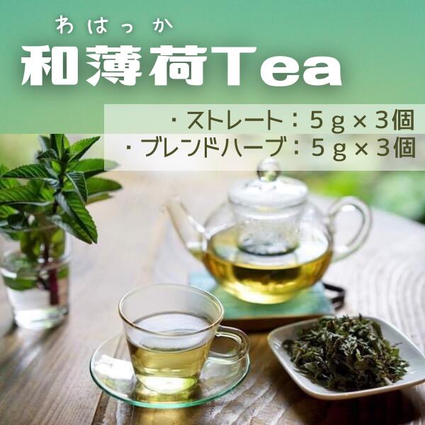 100％本物保証！ 和薄荷Tea 薄荷 ティーバッグ お茶 fucoa.cl