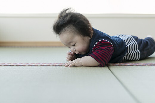【ふるさと納税】フローリング用たたみたたみ育2枚