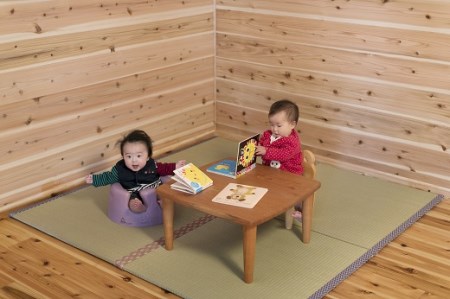 【ふるさと納税】フローリング用たたみたたみ育2枚