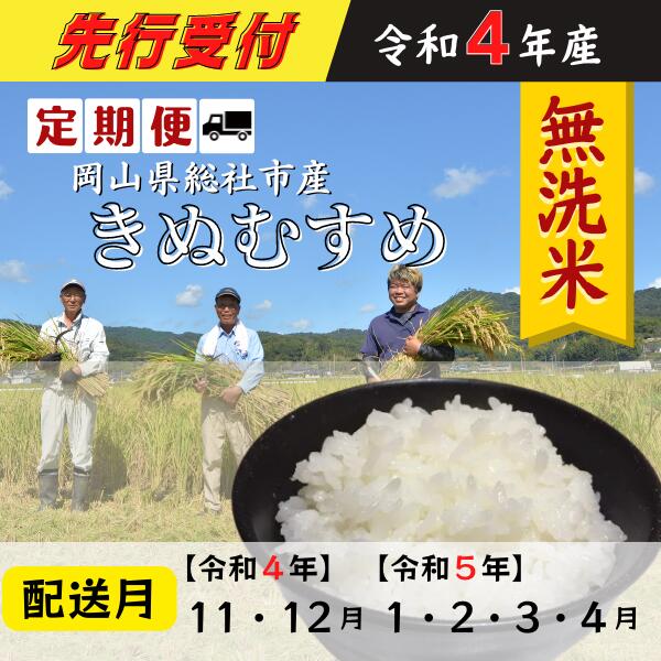 65%OFF!】 10kg お米 岡山県産 令和3年産 5kg きぬむすめ