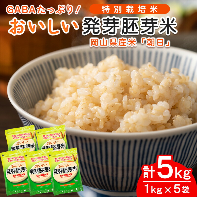 【ふるさと納税】おいしい発芽胚芽米 5kg（1kg×5袋）　米　発芽米　胚芽米　5kg　1kg