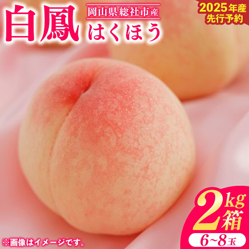 【ふるさと納税】2025年産先行予約 白桃 白鳳 2kg箱 岡山県 総社市産 7月配送 ６～８玉 25-020-003