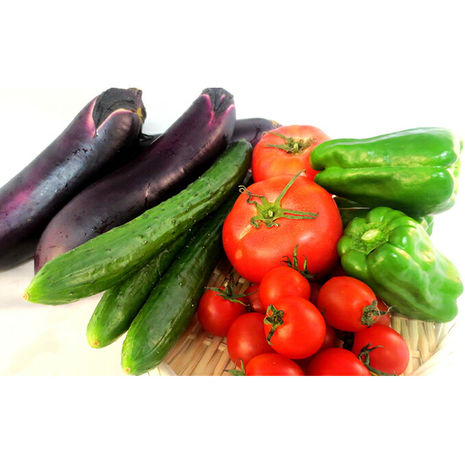 年最新海外 楽天市場 ふるさと納税 有機農産物 夏 野菜 セットーa 野菜 セット 詰合せ 野菜セット お届け 21年7月下旬 21年8月下旬まで 岡山県高梁市 想像を超えての Lexusoman Com