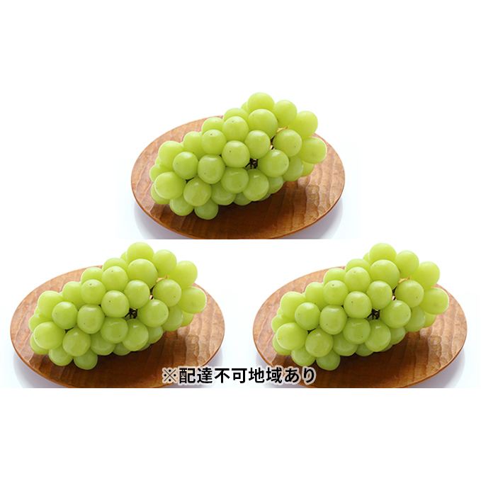 果物 葡萄 ブドウ ぶどう シャインマスカット 5kg 大容量 訳あり SALE+