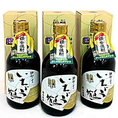 【ふるさと納税】銀杏焼酎（720ml×3本） お酒 酒
