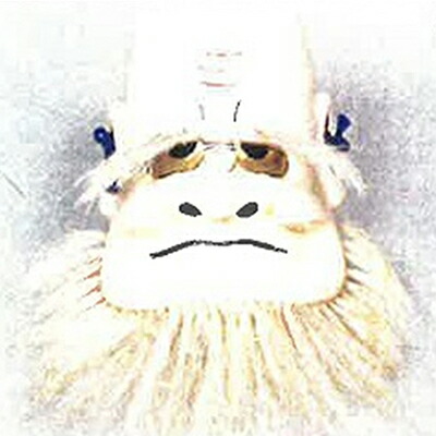 楽天市場】【ふるさと納税】神楽面師・管沢良典作 広島神楽面《般若